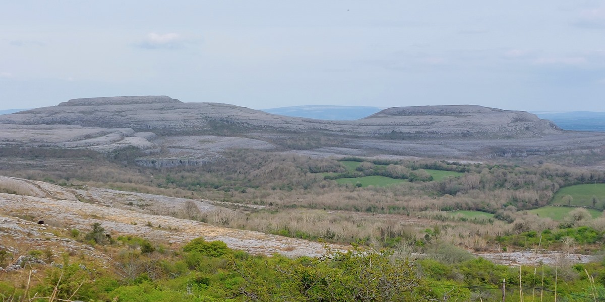 the burren