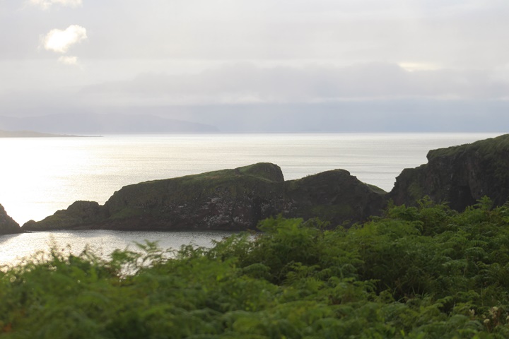 carrick a rede