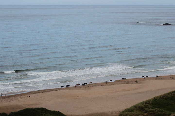 whitepark bay